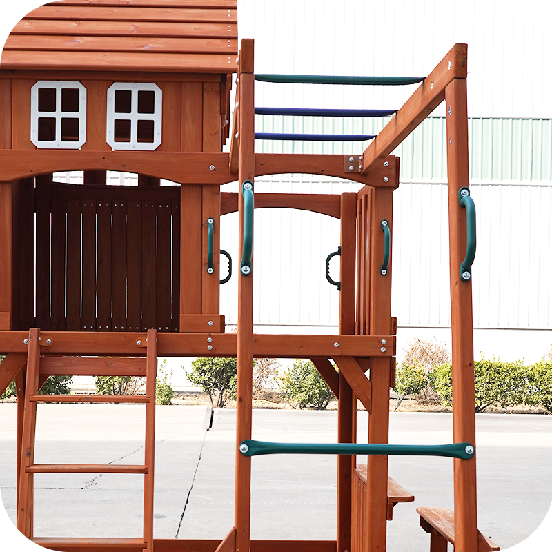 Monkey Bars & Ladder