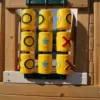 backyard playset
