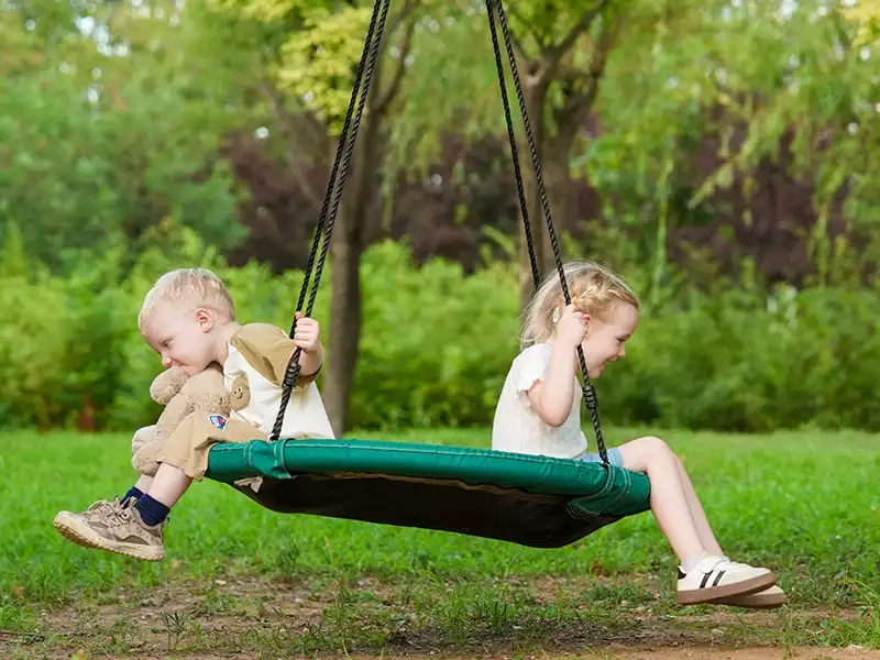 saucer tree swing